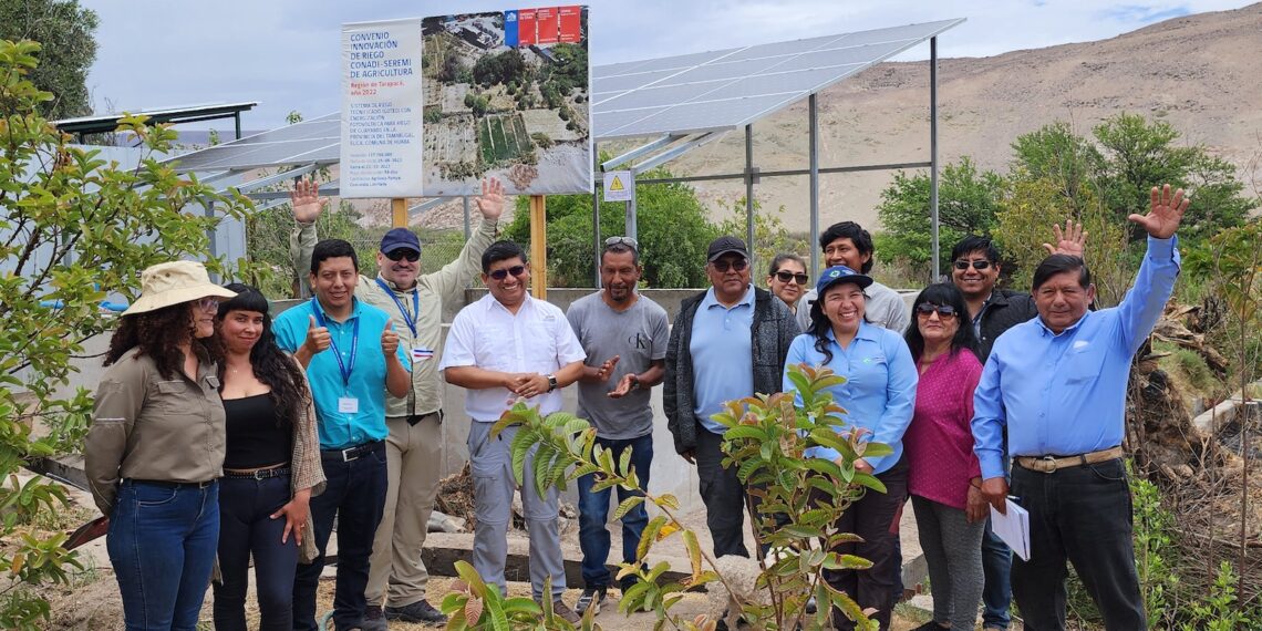 La-obra-permitira-una-superficie-de-riego-de-500-metros-cuadrados-y-42-arboles-de-guayabos-1140x570