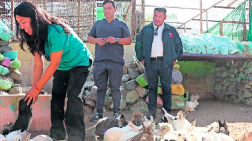 Captura de pantalla 2026-01-29 090508