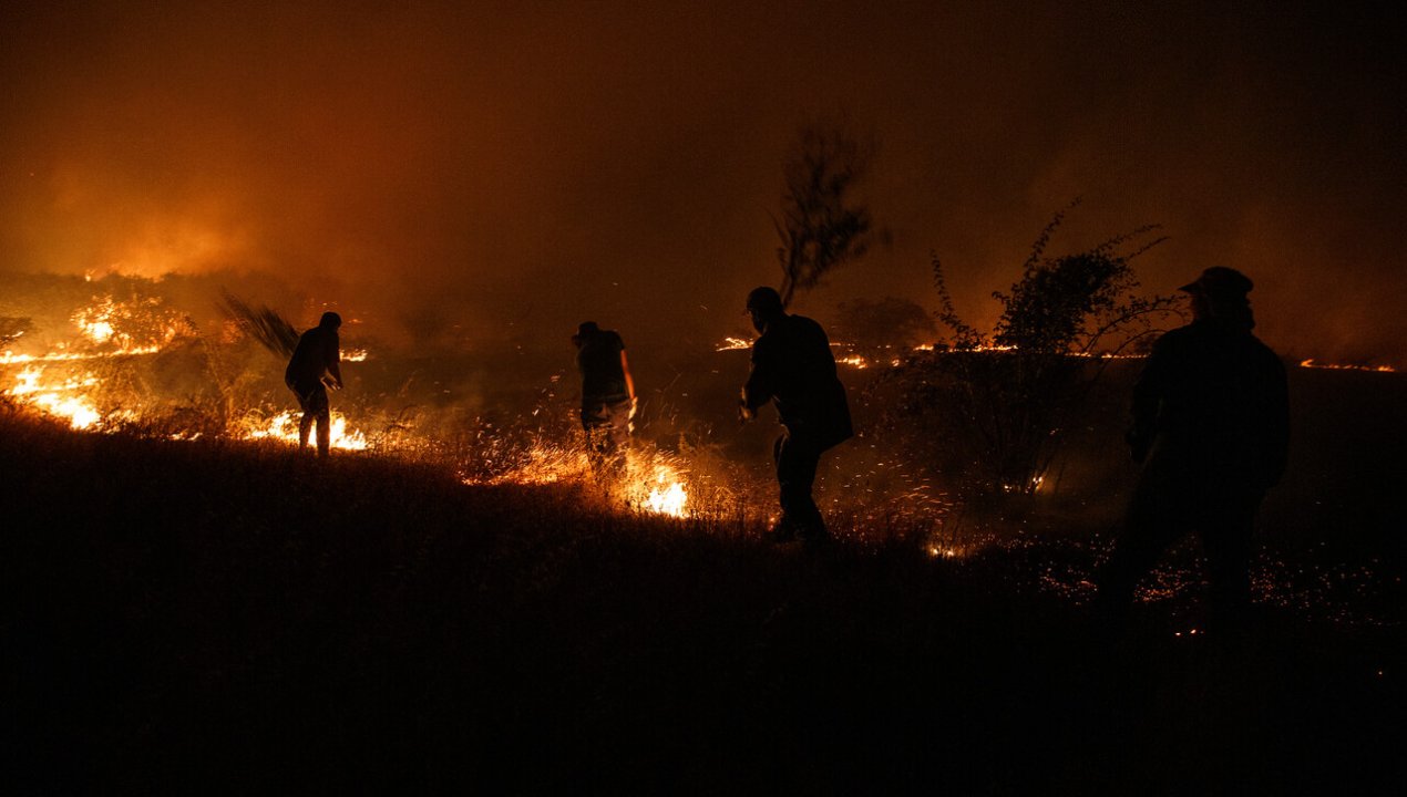 Incendios forestales en Chile