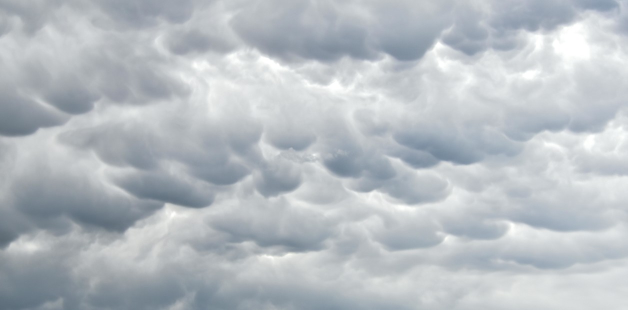 owb6L8N_q_1256x620__1 (2)