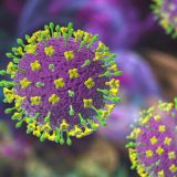 Virus Nipah en India