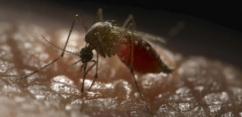 Captura de pantalla 2026-02-04 230825