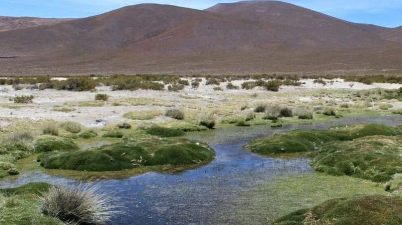 Captura de pantalla 2026-02-18 172638