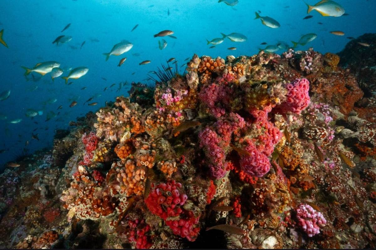 17161D524C43476D14160F55574947711F121E18534147721D15-1200x800