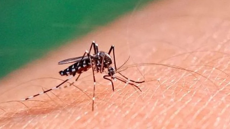 Captura de pantalla 2026-03-10 174808