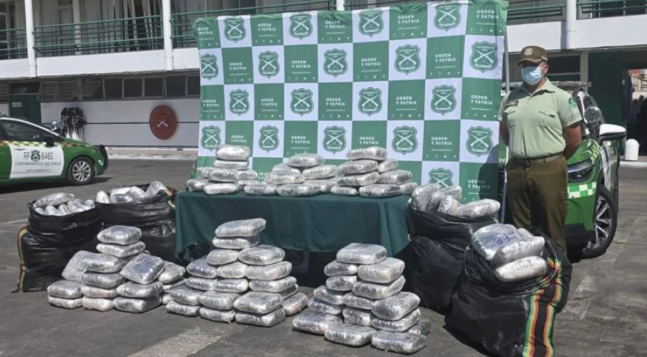 Incautan más de 220 kilos de marihuana en operativo policial en Tarapacá