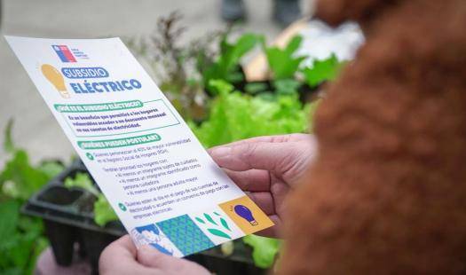 subsidio-electrico.jpg__1440x2000_q70_subsampling-2 (1)