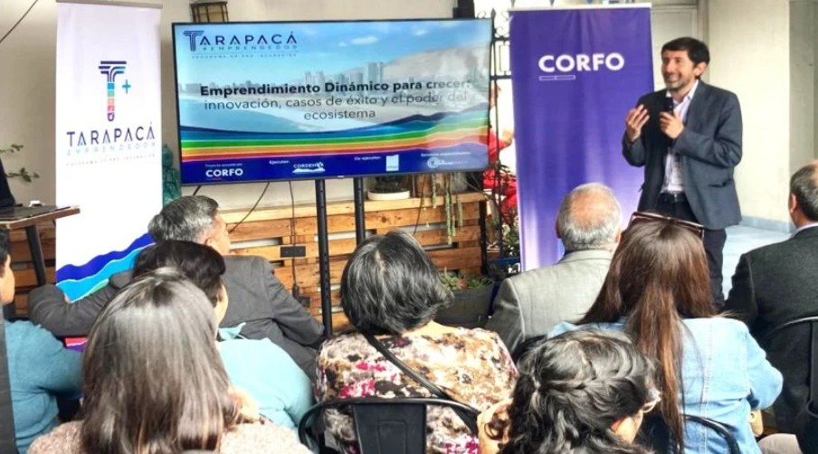 Programa Tarapacá + Emprendedor abre convocatoria para apoyar 15 proyectos innovadores