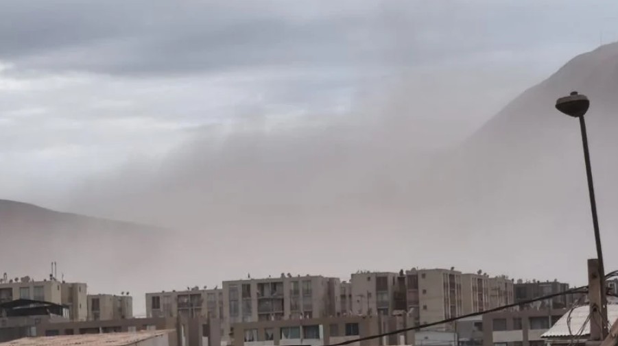 Captura de pantalla 2026-08-11 141203