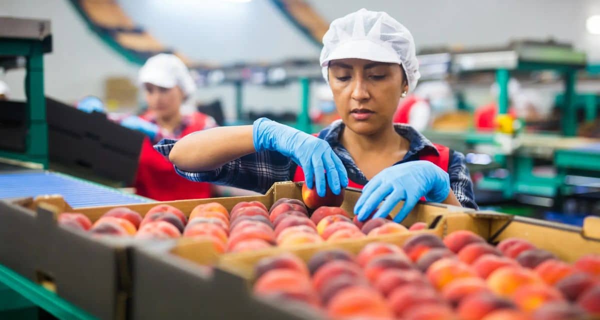Subsidio-Unificado-al-Empleo-comenzara-a-funcionar-en-octubre-de-2026